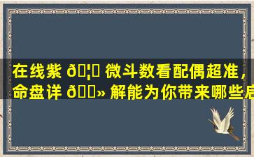 在线紫 🦆 微斗数看配偶超准，命盘详 🌻 解能为你带来哪些启示